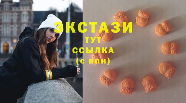 ГАЛЛЮЦИНОГЕННЫЕ ГРИБЫ Аркадак