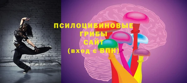 ГАЛЛЮЦИНОГЕННЫЕ ГРИБЫ Аркадак