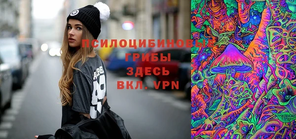 spice Армянск