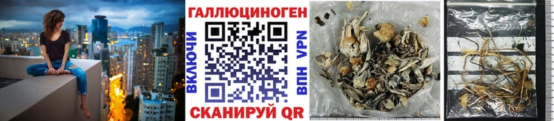 Галлюциногенные грибы Psilocybe  Нарткала 
