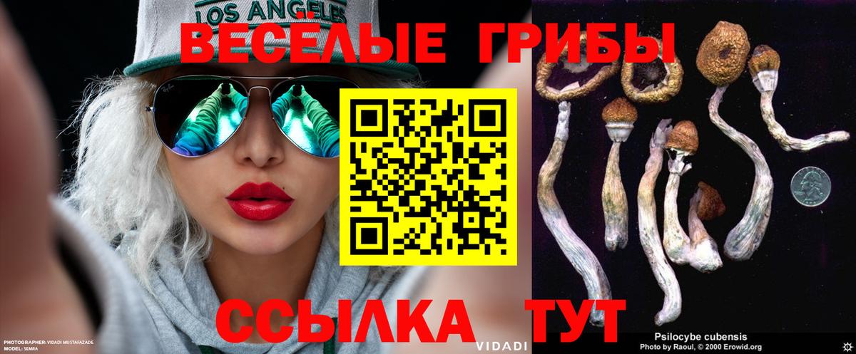 Галлюциногенные грибы Psilocybine cubensis  Вход с VPN  Нарткала 